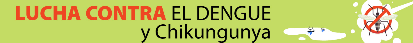 Lucha contra el Dengue y Chikungunya 🦟🚫