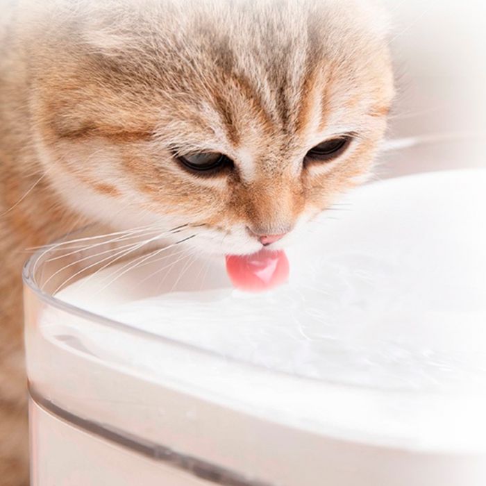 Bebedero de Agua Inteligente para Mascotas 1000038