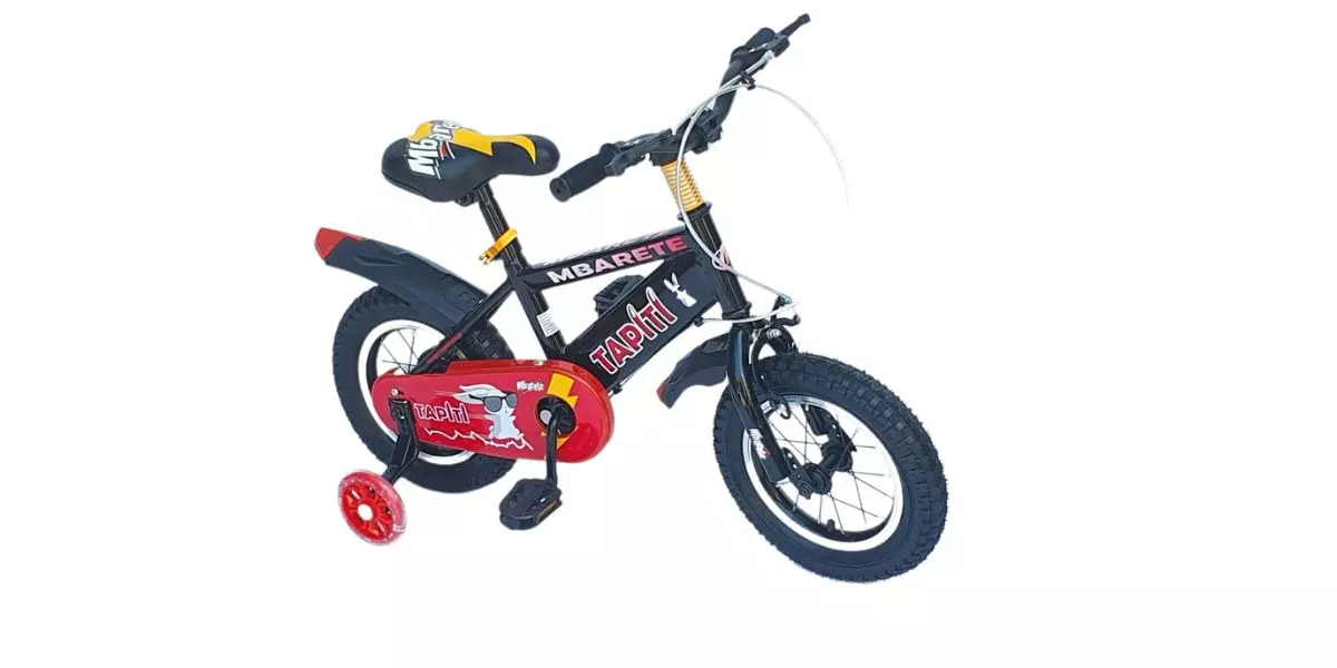 Bicicleta besatti aro 2025 12