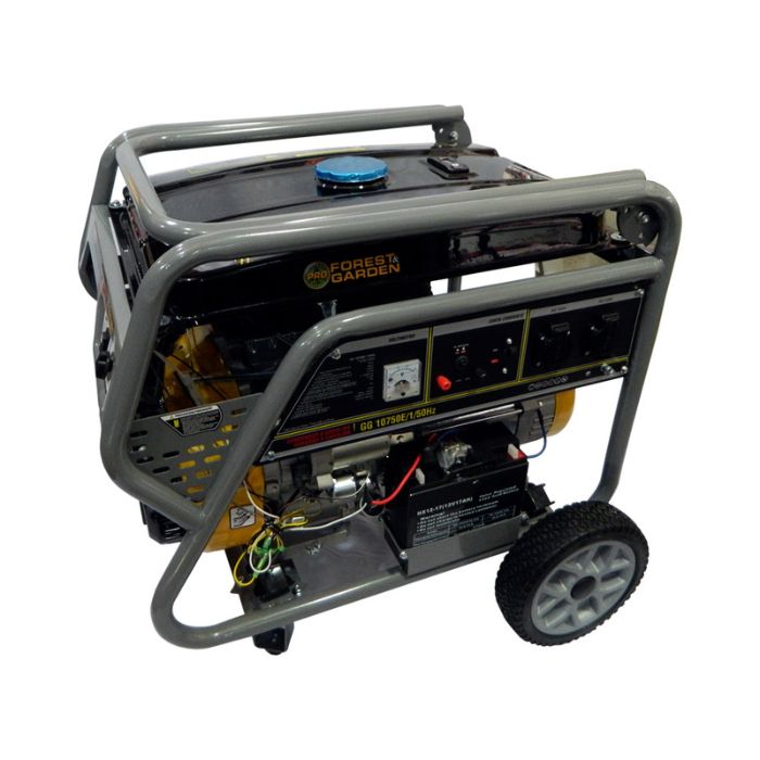 forest-garden_industriales-y-herramientas_generador-a-gasolina-forest-garden-de-4t-68kw_2