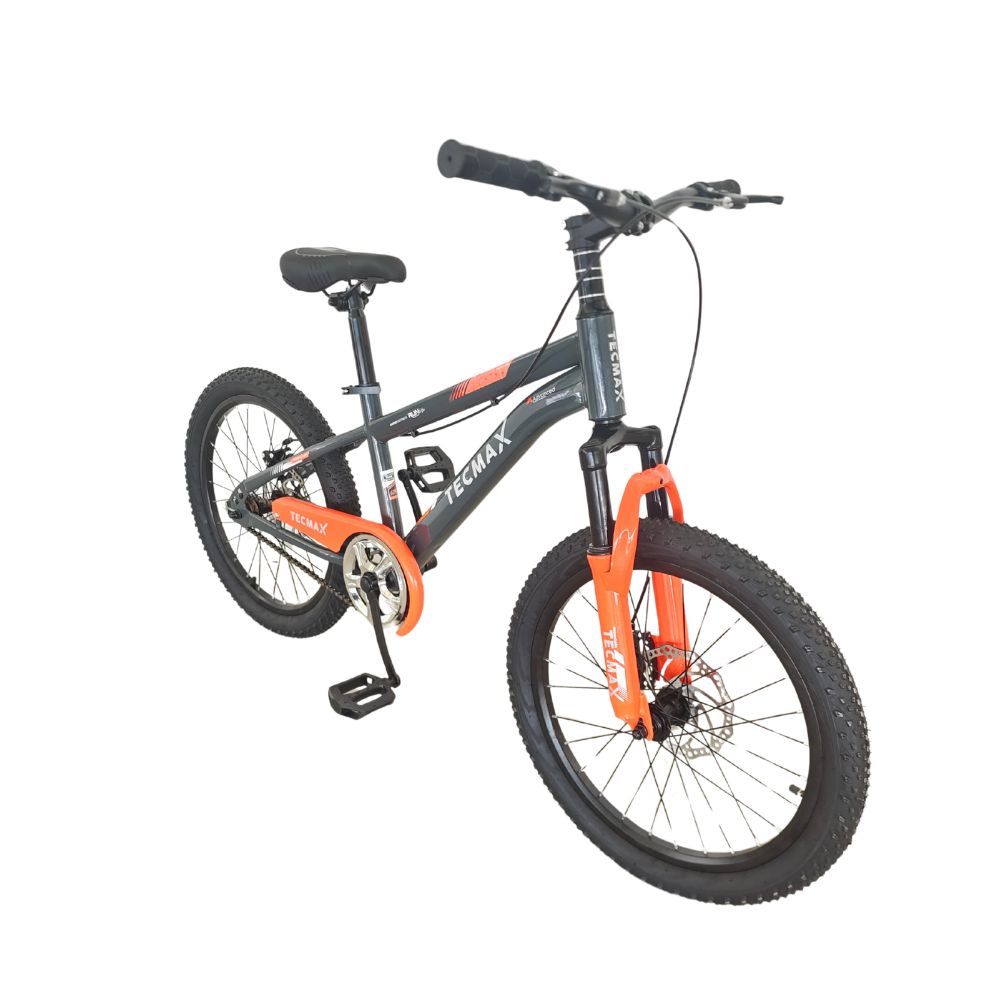 speed_bicicletas_bicicleta-speed-x-tecmax-aro-20_3