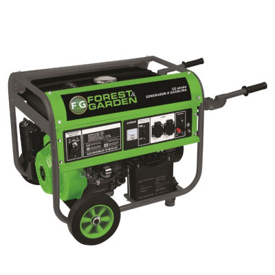 forest-garden_industriales-y-herramientas_generador-a-gasolina-forest-garden-15hp-6500w-4t_1