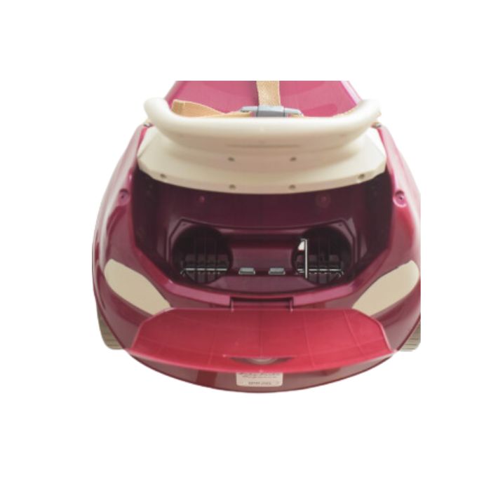 triciclo-guiador-baby-trike-evolution-elegance-biemme-4